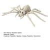 Halloween Animal Skeleton Horrible Spider Skeleton Statue Simulation Spider Bone Model for Yard Garden Lawn Patio Halloween Decor