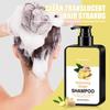 Shampoo Oil Control Shampoo Anti-dandruff Itching Soft 100g