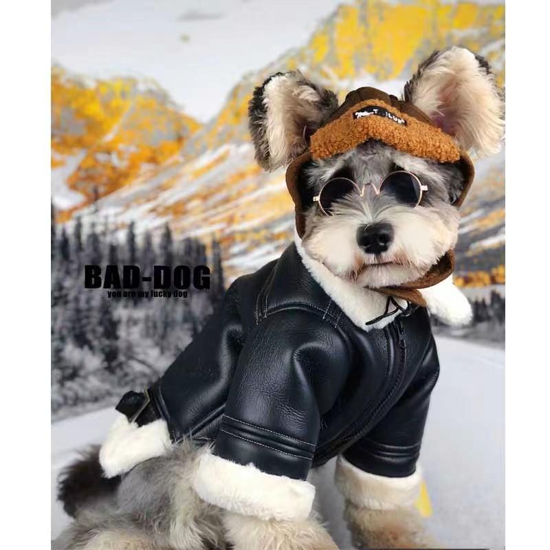 New Fall/winter Pet Clothing Jacket - Falcon Leather Coat with Added Insulation for Warmth. Pet Clothing for Cats and Dogs, Including Accessories.
