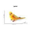Kiwi Bird Jungle Animals Figures Peacock Phoenix Mallard Turkey Toucan Action Figure Toy Animal Figurines Toys for Kids Gifts