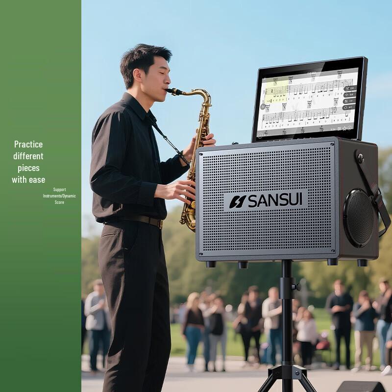 SANSUI Outdoor KTV Speaker System