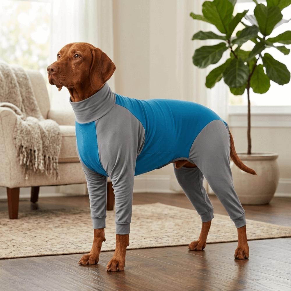 Blue Grey Color Dog Recovery Suit Four Leg Full Coverage Pet Pajamas Hair Shed Control