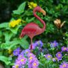 Weather Resistant Iron Flamingo Garden Sculpture Easy Relocate Design Suitable For Backyard Landscape Pool Area Styling