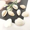 1 Set Beach Conch Shells with Hole Craft Shells Natural Shell Beads Crafting Supplies for Bracelet Jewellery Making