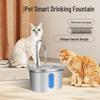Stainless Steel Smart Pet Water Fountain with Automatic Circulation for Indoor Cats