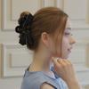 Dieuamour Pleated Ribbon Hair Clip Claw Pin