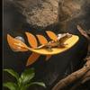 Simulated Leaves Lizard Habitat Leaf Leaf Shape Climbing Rest  for Amphibian Terrarium