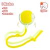 Smart Interactive Pet Ball Toy For Cats And Dogs
