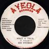 7inch Record EDI FITZROY  What A Trick 4AY012 Ayeola Records 1987 Jamaica Reggae Ska  Dub Used