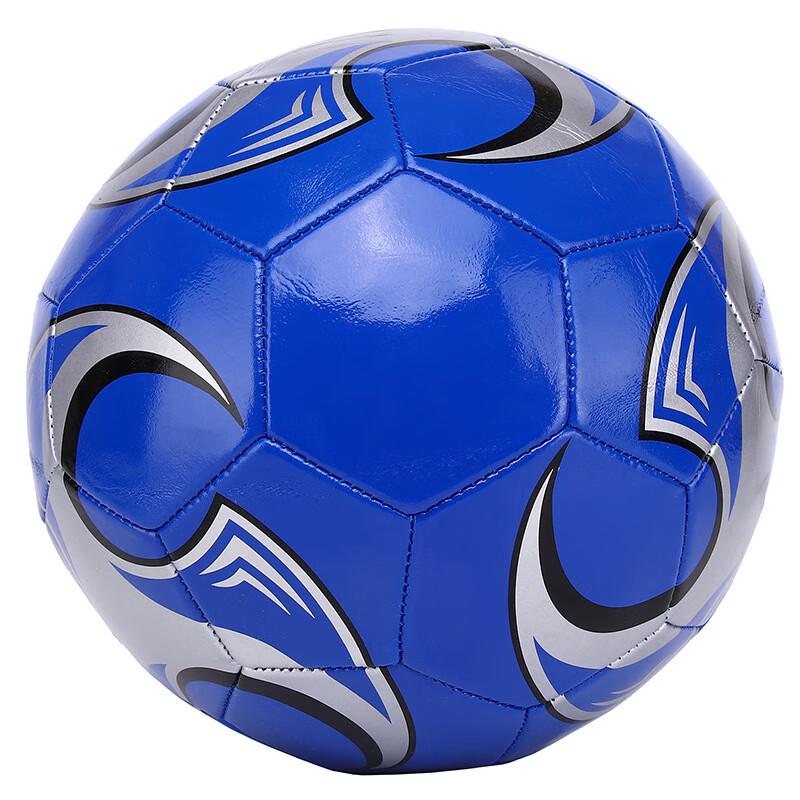 Xurin Youth Soccer Ball (2-Pack)