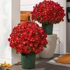 5 Bundle High Fidelity Gradient Artificial Chrysanthemums  DIY Flower Arrangement