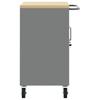 Trolley Rolling Workbench Black and Gray 75 x 45 x 85 cm