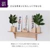 Kamidananosato Modern Shinto Mirror, Kasumikumo, Maple, 1.5 inches, Natural, Small