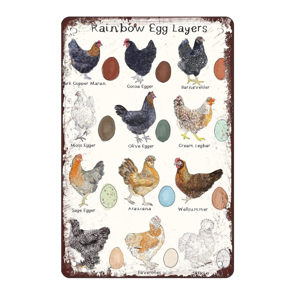 Metal Material Chicken Coop Signs 20 * 30cm Rustic Chicken Coop Accessories Vintage Funny Style Funny Chicken Signs