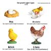 Realistic Farm Animal Models: Big Yellow Duck, Rooster, Turkey, Goose, and Swan