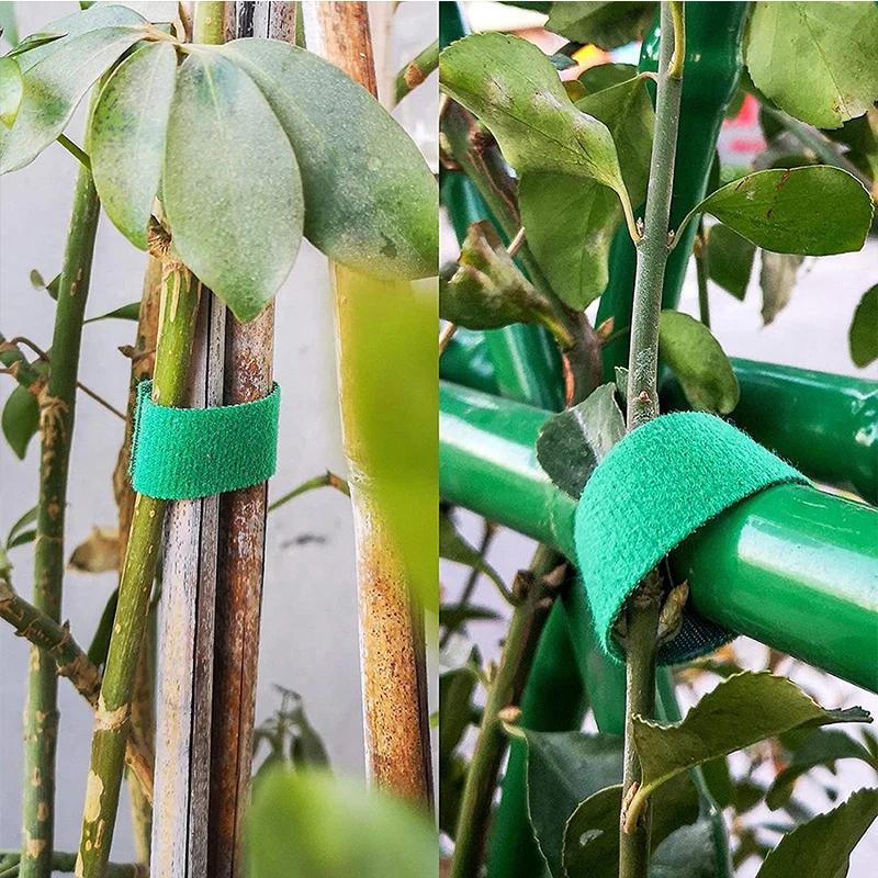 3 Rolls Green Garden Twine Plant Ties Nylon Plant Bandage 2 Meters Garden Hook Loop Bamboo Cane Wrap Support Garden Accessories
