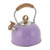 Whistling Stovetop Kettle Stainless Steel Tea Pot Heat Resistant Handle for Electric and Induction Stoves