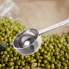 10Ml Stainless Steel Coffee Scoop Long Handle Engraved Measurement for Ground Coffee Milk Tea Powder Sugar Kitchen Measuring