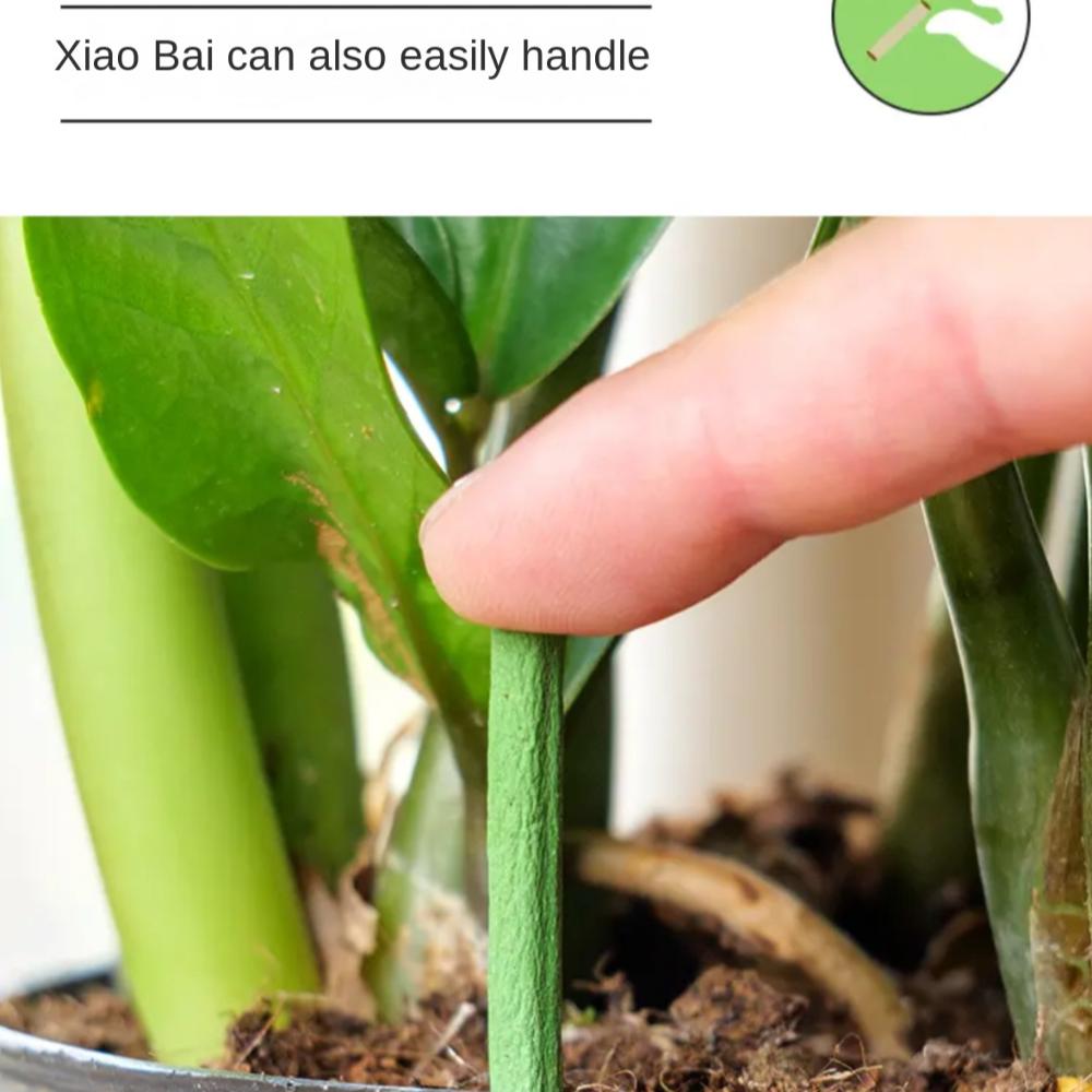 5 Krabiček 150 Kořenů Květinová Rostlina Kořenový Stimulátor Živá Půda Květináčová Rostlina Tyčinka Pěstování Květin