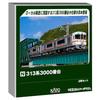 KATO N Gauge Series 313-3000 2-Car Set Model Train 10-1928