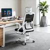 Ergonomic Mesh Gaming & Office Chair with Adjustable Seat and Large Back Support