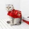 Costume Piccolo Cane Gatto Festival Cinese Vestire Mantello Vestiti per Fotografia Gatto