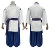 HOLOUN Spirited Away Kohakunushi Cosplay Anime Halloween Holiday Size XS Haku/Nigihayami Costume, Costume, Costume, Gift,