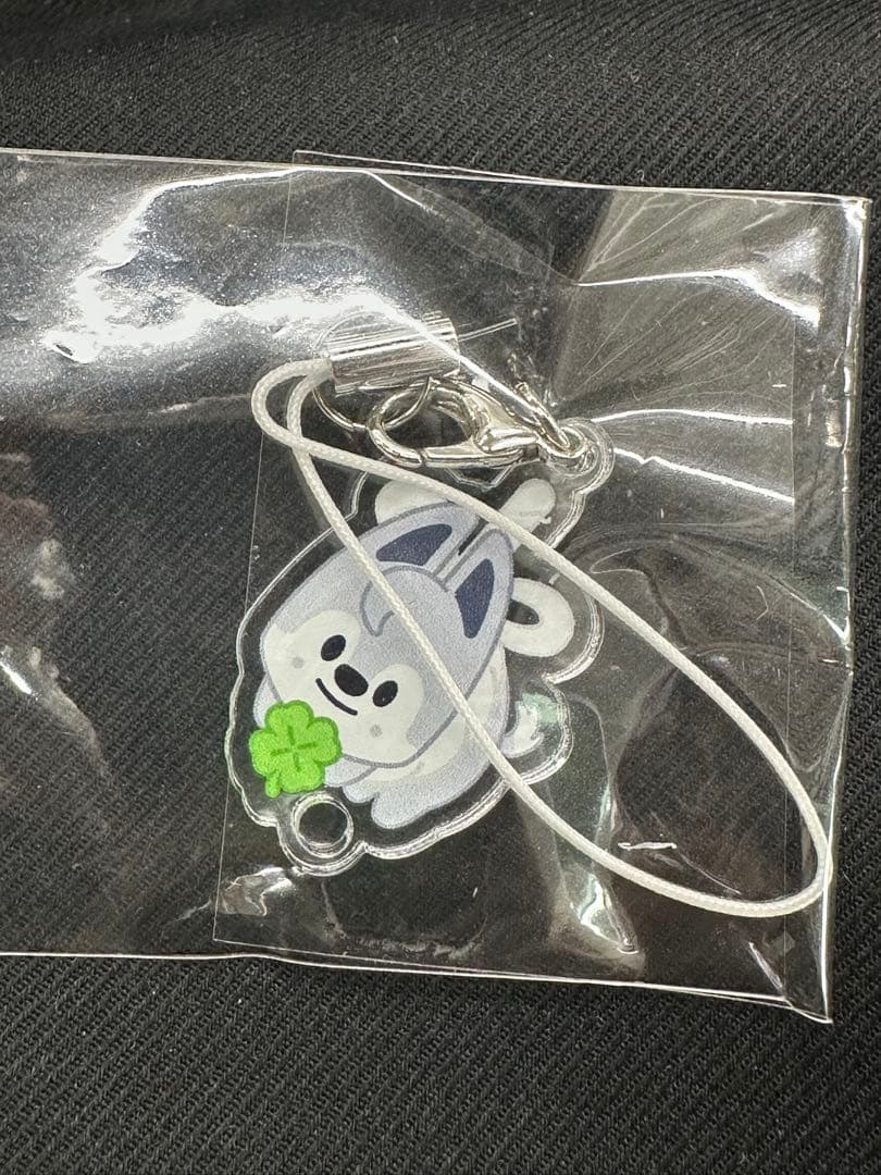 

[USED] Stray Kids fan meeting admission bonus: Wolf Chan Stayzone 4/5 keychain