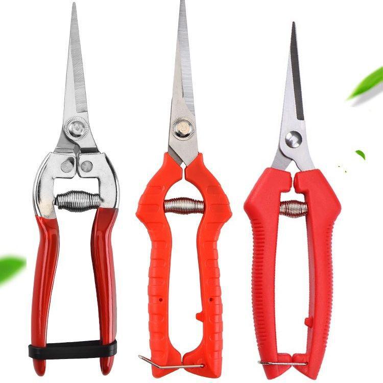 Gardening Shears Set: Pruning & Thinning Tools for Fruit, Vegetables, Sweet Potatoes, Grapes, and Apples; Includes Picking and Prickly Ash Shears.