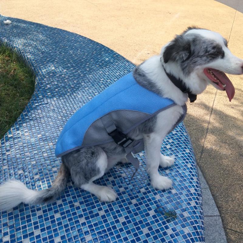 Gilet rafraîchissant d'été pour chien, veste réfléchissante pour animaux de compagnie, manteau respirant, vêtements pour chiots