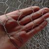 Hexagonal Steel Wire Mesh Chicken Coop Protection Fence