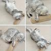 Multi Functional Cat Scratcher No Debris Rest Pillow Anti Furniture Scratch Toy For Indoor Cats