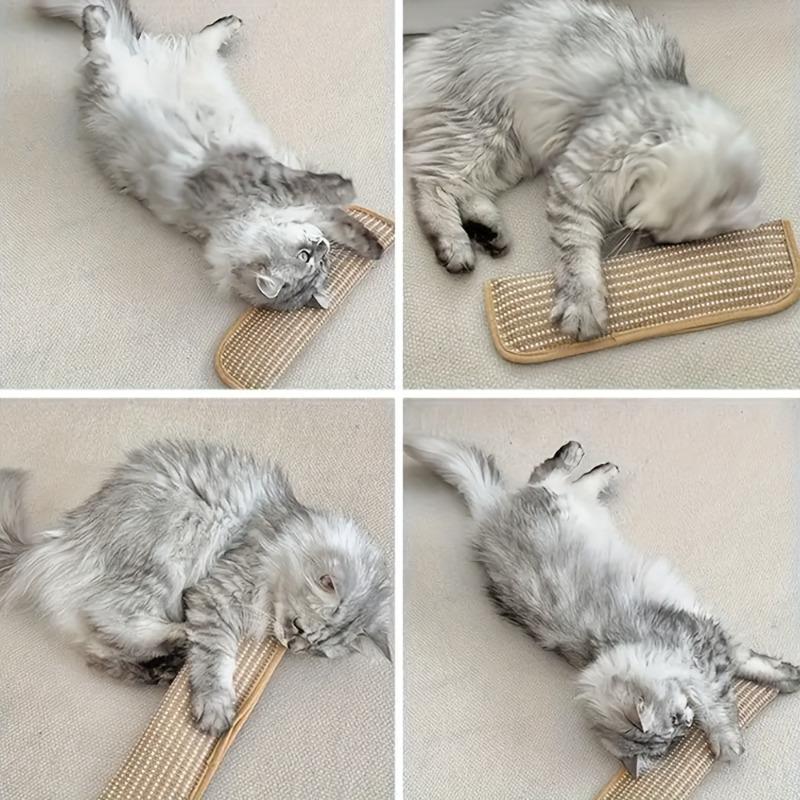 Multi Functional Cat Scratcher No Debris Rest Pillow Anti Furniture Scratch Toy For Indoor Cats