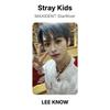 Stray Kids MAXIDENT StarRiver Official Photocard