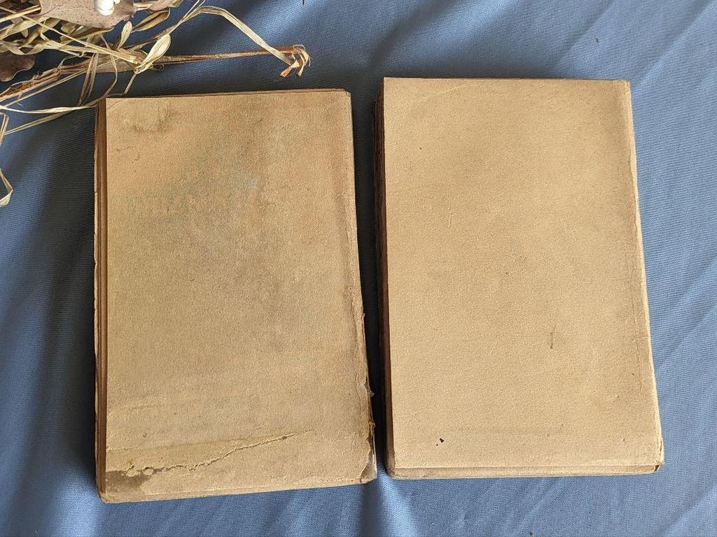 [USED] 1940s French "The Red and the Black" 2-volume set, Western books, antiques