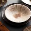 Exquisite 2025 Japanese Retro Ceramic Tableware: Elegant High-End Simple Plates