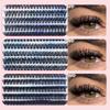 HOLLYLASH 240/640 Clusters 30D-100D False Eyelashes Natural&Thick & Fluffy 8-16mm Mix Length DIY At Home Cluster Eyelash Makeup