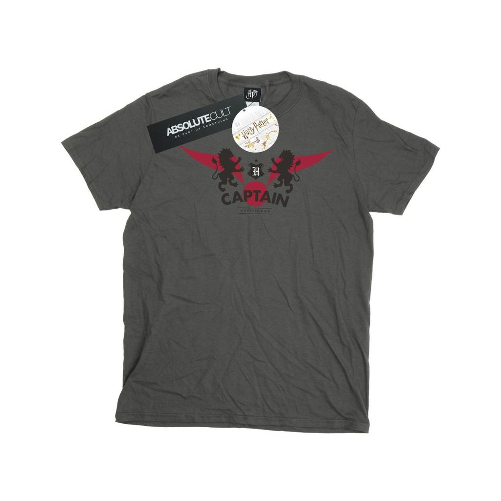 Harry Potter Mens Gryffindor Captain T-Shirt