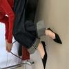 Pointed Head Shallow Mouth Cat Heel Single Shoes Female 2025 Spring and Autumn Style Temperament Suede French Gentle Evening Breeze Fairy High Heels