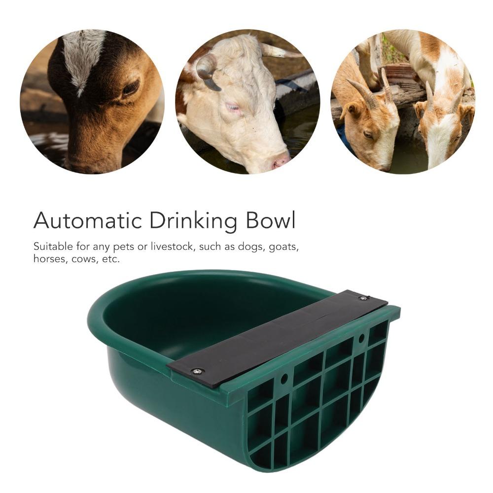 Plastic Automatic Livestock Drinking Bowl Thickened Design Livestock Drinking Sink Cat