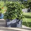 Jardinière Muret à réserve d'eau avec roulettes - EDA - Toscane - 74 L - 79 x 35 x H.39 cm - Gris Anthracite