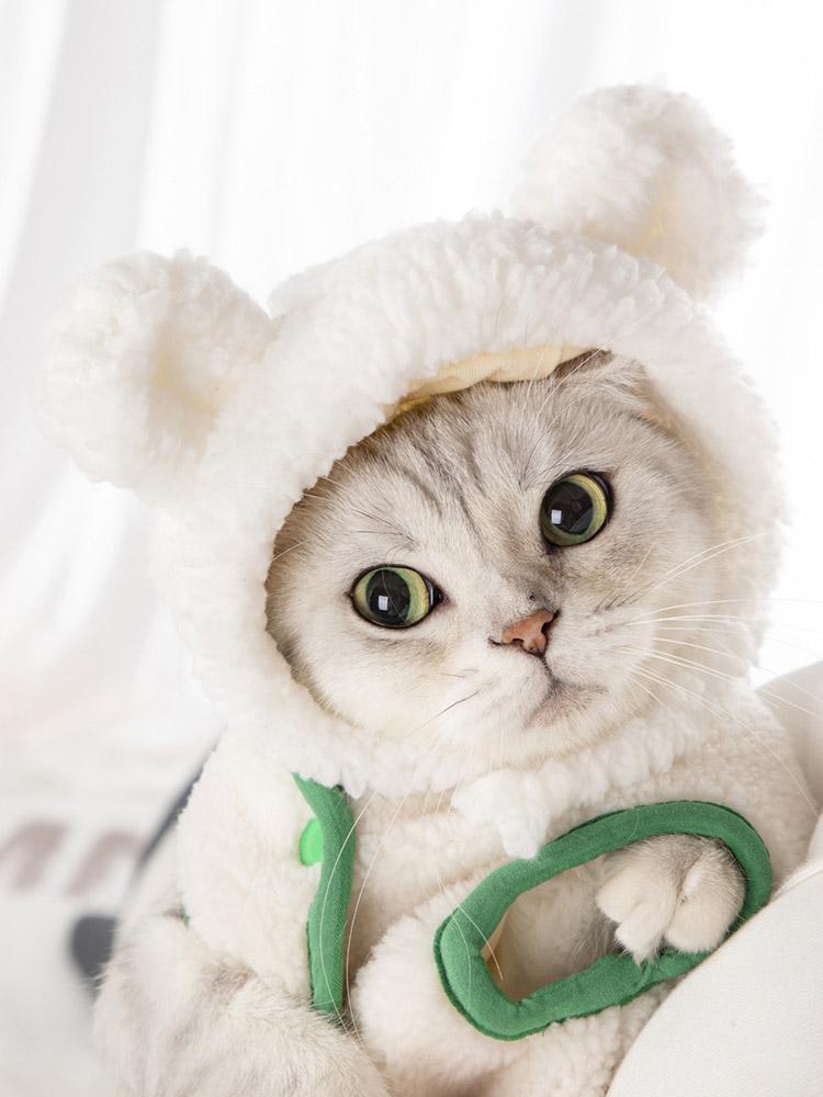 Katzenhüte Verstellbare Weiche Kleine Haustier Kopfbedeckung Bärenhut für Katze Mütze Cosplay Festival Geburtstag Themenparty Foto Requisite