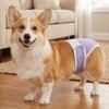 Leak-proof Pet Diapers Breathable Dog Menstrual Pants Pet Supplies Pet Underwear  Dog Heat Season