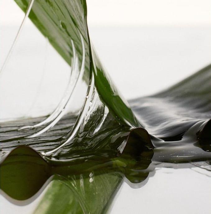 Growus Algae Therapy Mineral Shampoo 500g