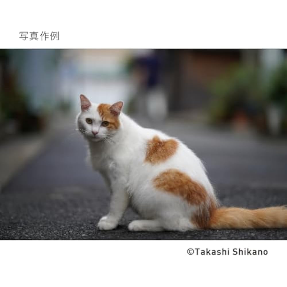 Sigma (Sigma) Lens 85mm F1.4 DG DN Sony E-Mount Single Focus Telephoto Full Size Mirrorless Art