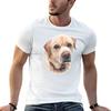 Yellow Labrador Tshirt Graphic T Shirts For Unisex T Shirts Cotton 100 Tshirt