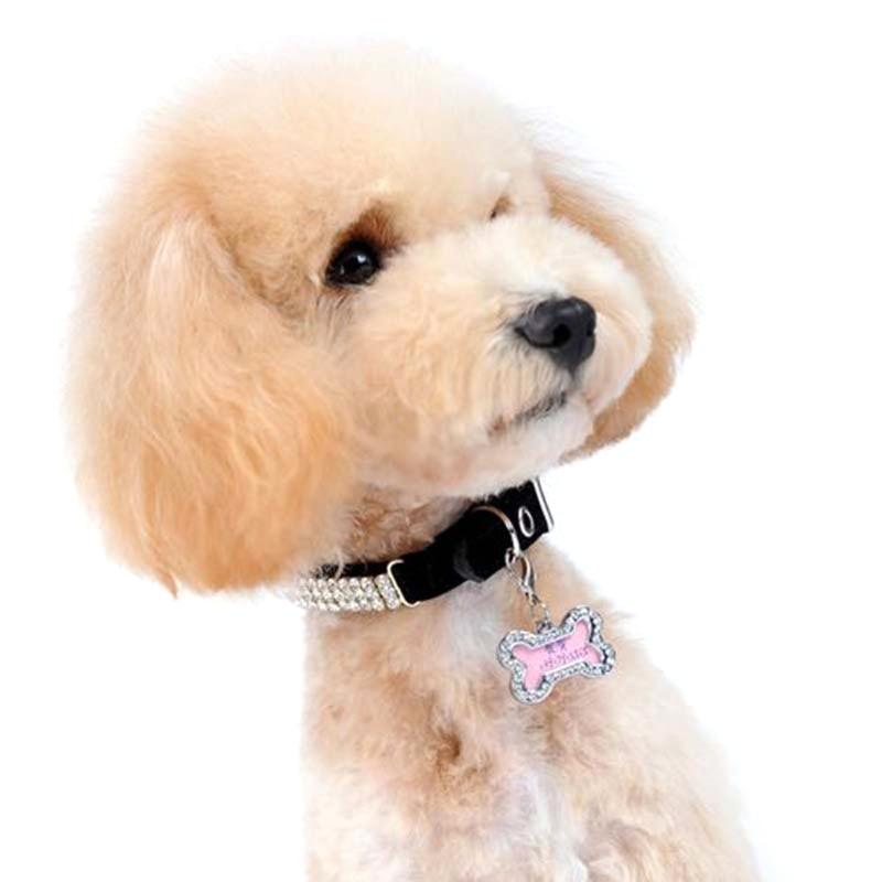 Etiqueta de Identificação Fofa para Animais de Estimação para Cães Etiqueta de Identificação para Cães Etiqueta para Gatos Etiqueta de Identificação para Gatos Amuleto para Coleira de Animais de Estimação Osso Etiqueta para Cães Personalizada para Animais de Estimação Pequena