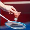 12pcs Multi-Colored Plastic Badminton Shuttlecocks Durable Design Badminton Balls  Sports Training