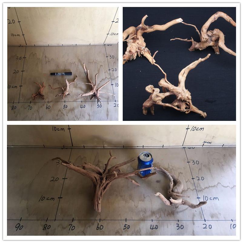 Natural Tree Trunk Driftwood Aquarium Fish Tank Reptile Cylinder Making Roots Plant Wood Decoration Ornament