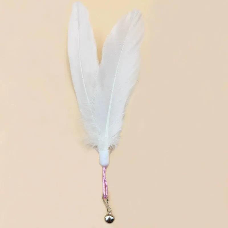 Retractable Cat Teaser Wand with Feather Head, 1.8m Long, Bite-Resistant Kitten Toy